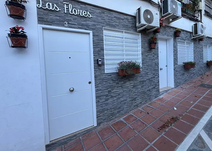 Flores 3,