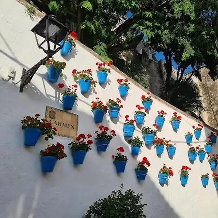 Apartment Flores 3, Marbella